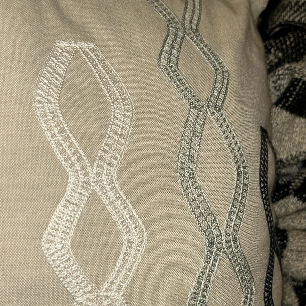 West Elm this pillow